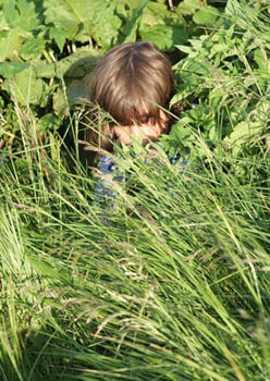 Cachée dans l'herbe