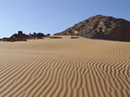 Sahara