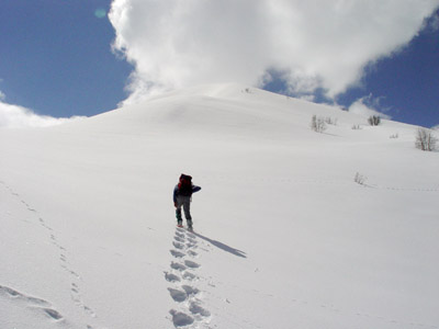 Raquettes dans la neige