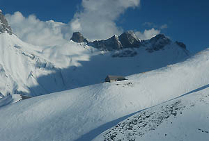Chanin sous la neige 
