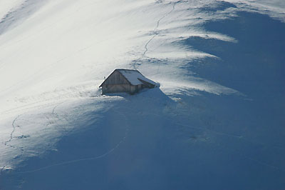 Chanin sous la neige 