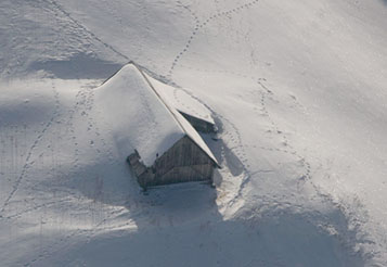 Traces de chamois autour de Chanin