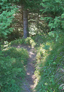 Chemin de Chanin
