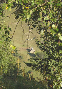 Le Vallon