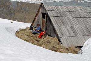 Neige et herbe