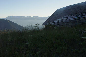 Contre jour au petit matin