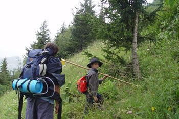 Monte  l'alpage