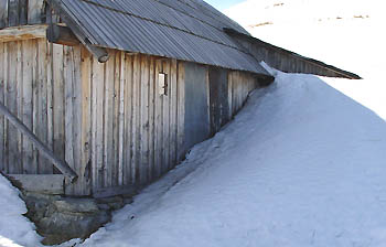 Neige