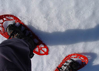 Raquettes  neige