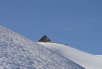 Chanin dans la neige
