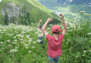 haut les mains