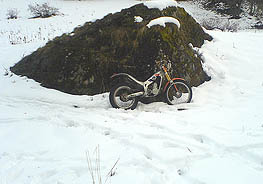 Trial