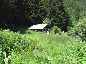 Cabane ONF