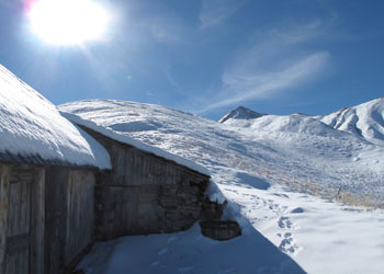 Alpage dans la neige