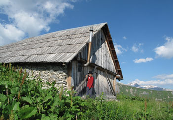 Chalet d'Alpage