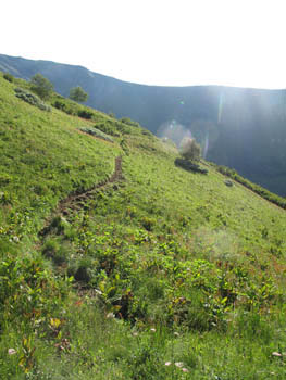 Chemin